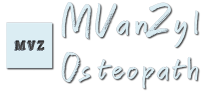 Martin Van Zyl